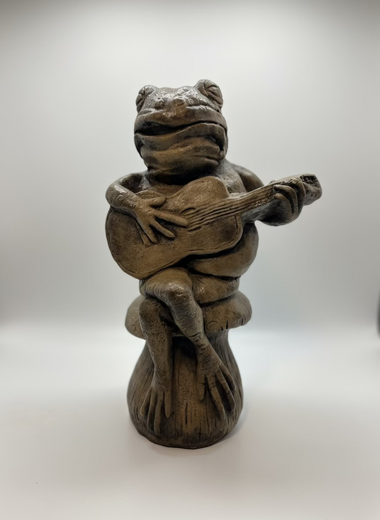 Frog Musician, Guitar