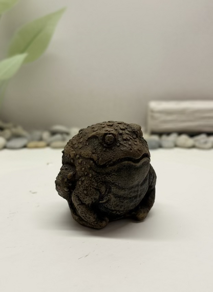 Warty Frog