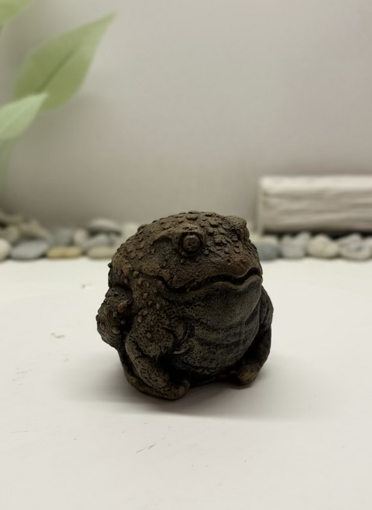Warty Frog