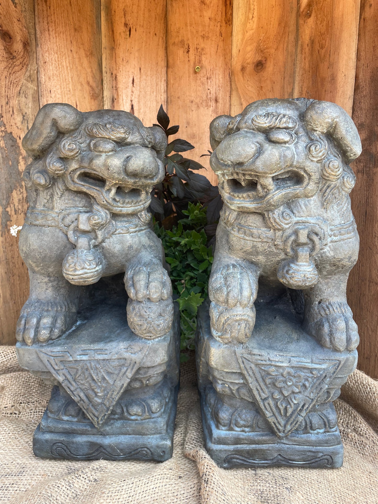 Fu Dogs, Left and Right