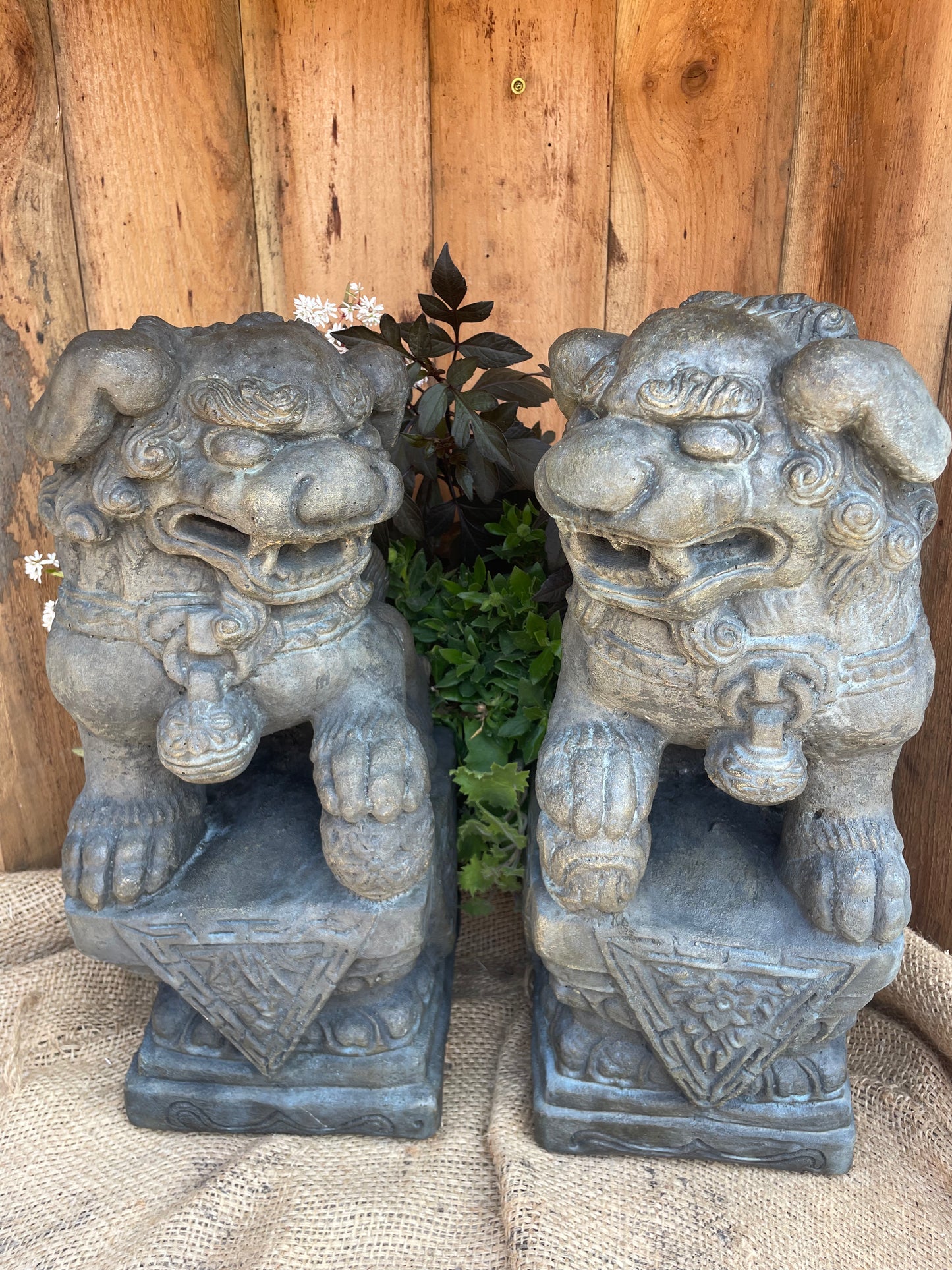 Fu Dogs, Left and Right