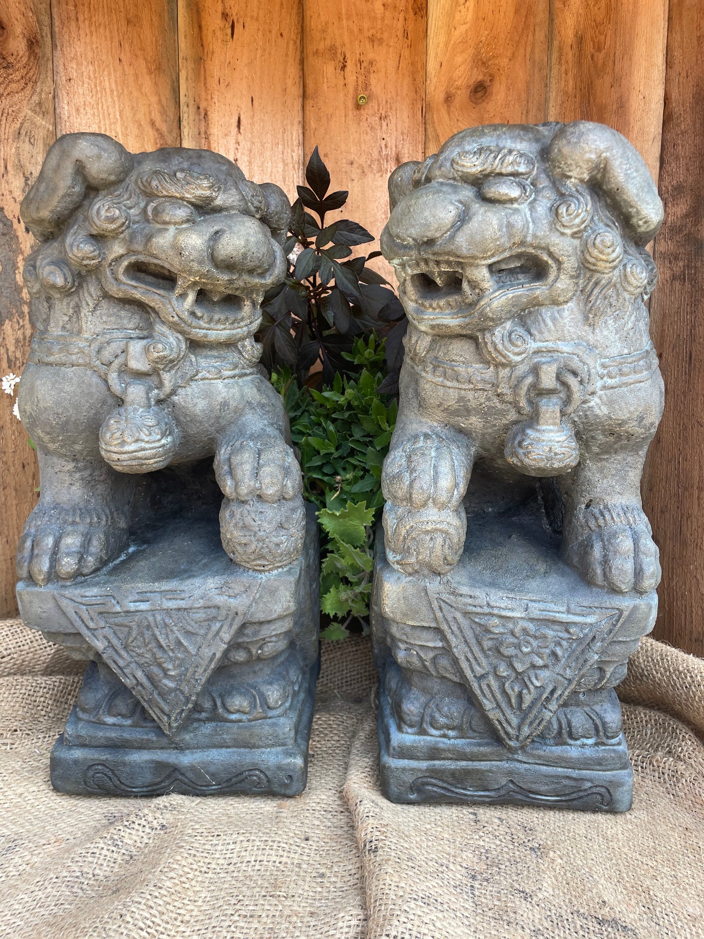 Fu Dogs, Left and Right