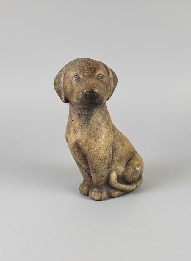 Lab Puppy