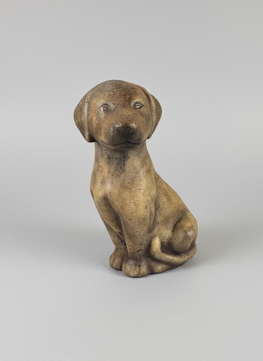 Lab Puppy