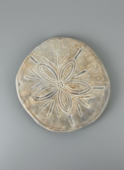 Sand Dollar Stepping Stone