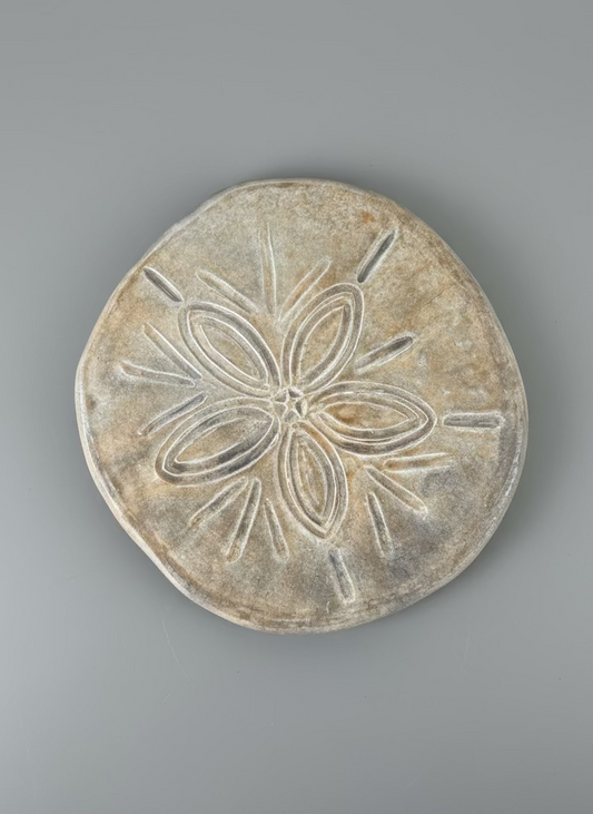 Sand Dollar Stepping Stone