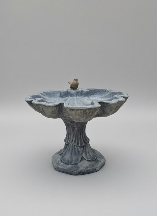 Small Shell Bird Bath