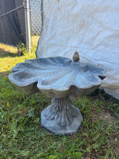 Small Shell Bird Bath
