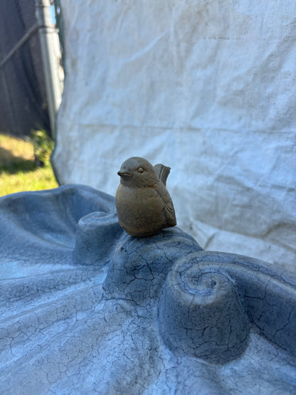 Small Shell Bird Bath