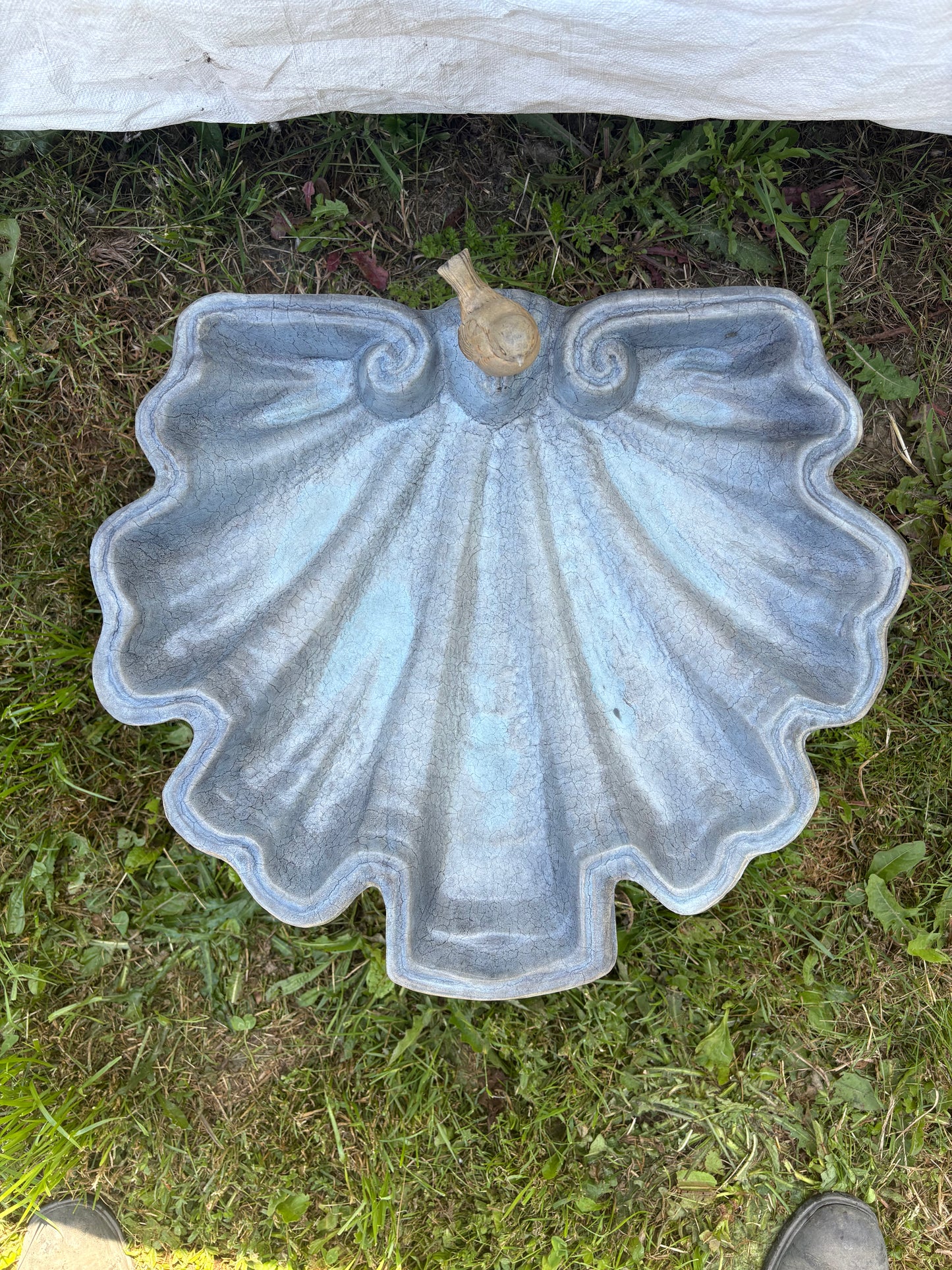 Small Shell Bird Bath