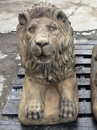 XL Lion