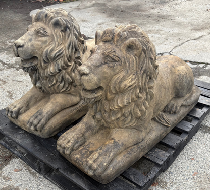 XL Lion